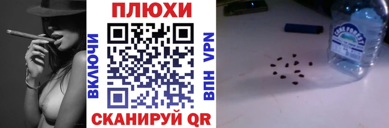Купить где  Болгар  Гашиш индика сатива 