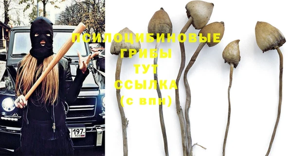 стафф Балахна