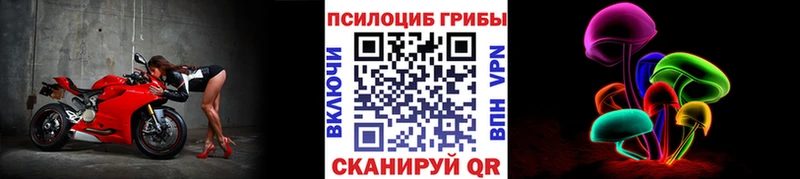 Купить где  Болгар  Галлюциногенные грибы мухоморы 